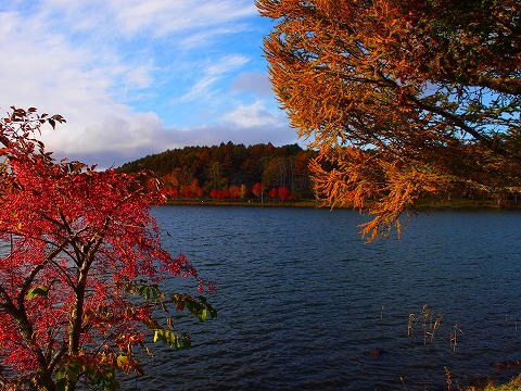 c0117007_2313132.jpg