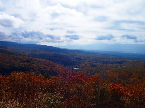 c0117007_2316981.jpg