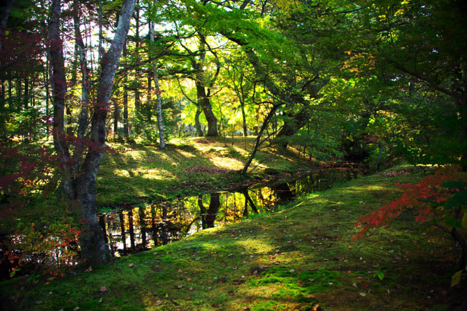 軽井沢　雲場池の紅葉1_a0263109_10435445.jpg