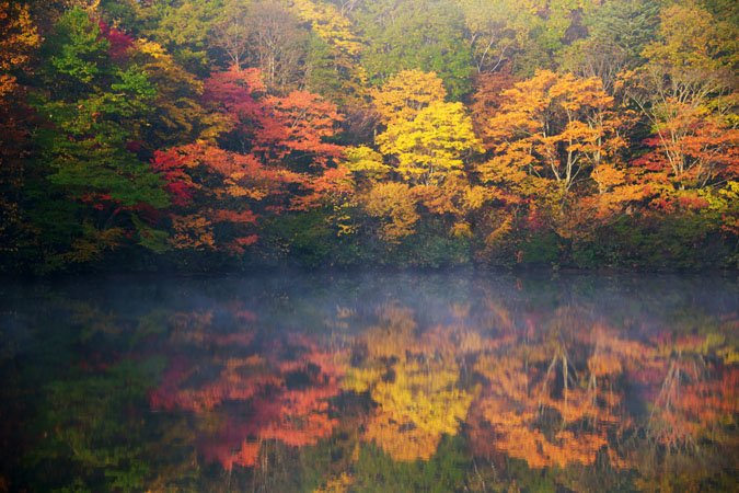 戸隠　鏡池の紅葉1_a0263109_1633262.jpg