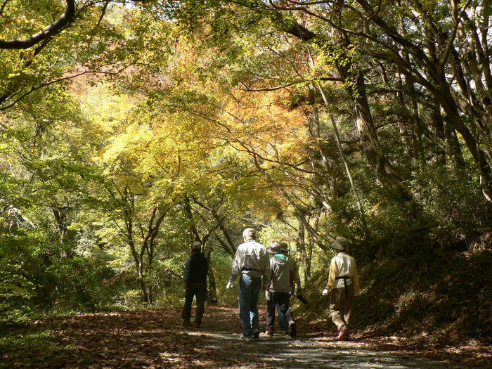 紅葉だより　（１）_f0219710_6341398.jpg