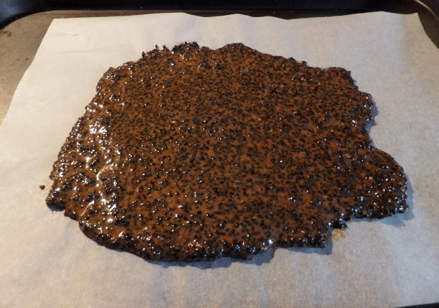 Sesame brittle_d0237913_337501.jpg