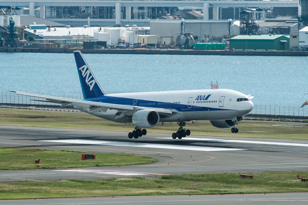 とくしま祭り in 羽田空港@阿波踊り_a0232322_9163672.jpg