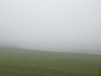 f0147922_17403185.jpg