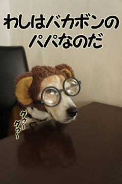 アホきょうだい バカボンのパパのめいげんをよむ ダツリョクニッキ アホきょうだい バカボンのパパのめいげんをよむ ダツリョクニッキ