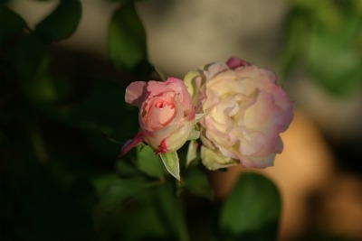 f0170524_11114291.jpg