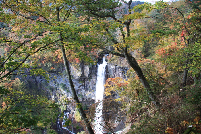 a0122325_21524870.jpg