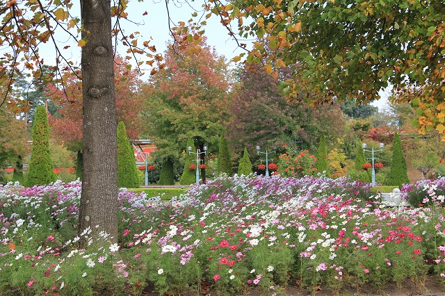 a0045932_21112998.jpg
