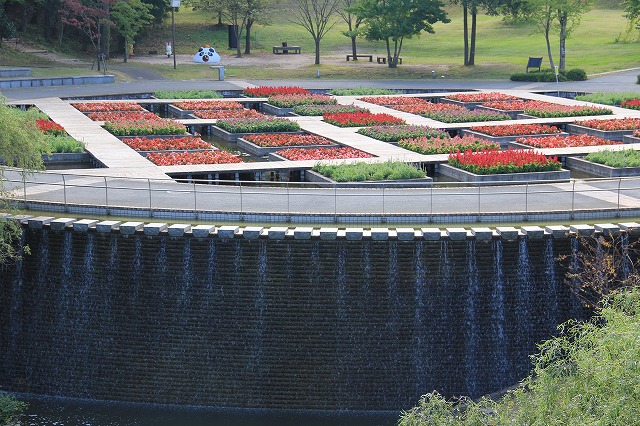 a0045932_2164130.jpg