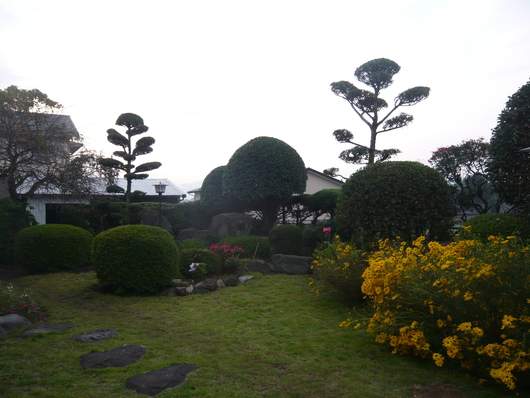 a0206332_8513.jpg