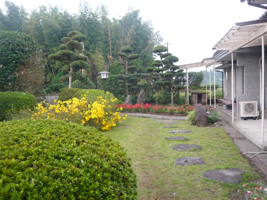 a0206332_884432.jpg