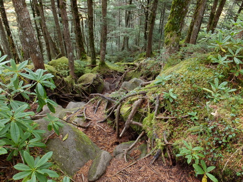 b0281732_1622949.jpg