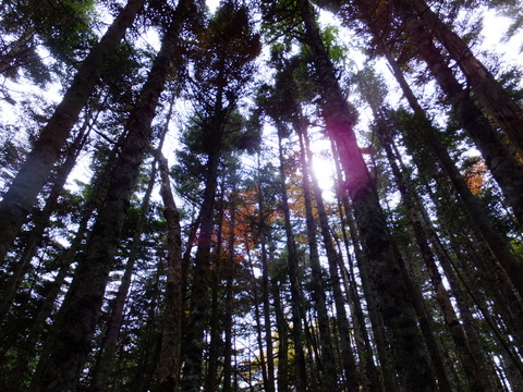 b0281732_1632849.jpg