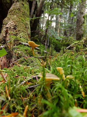 b0281732_1641112.jpg
