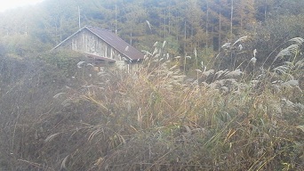 f0161535_183486.jpg
