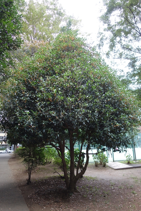a0287336_17404045.jpg