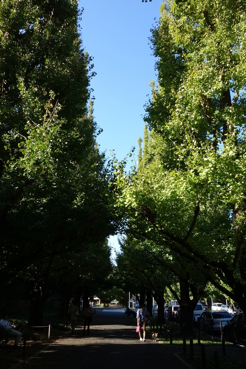 a0287336_17514865.jpg