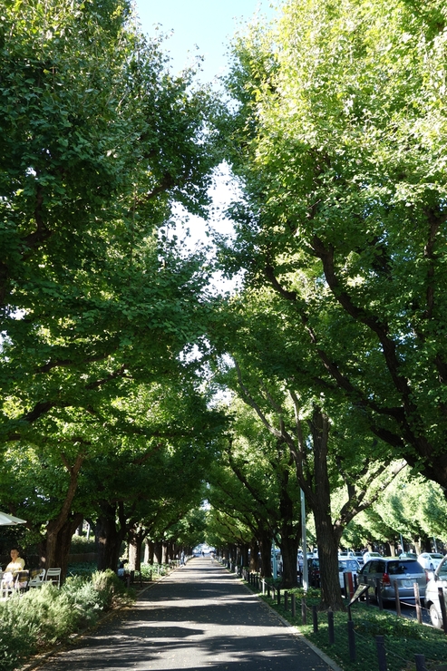 a0287336_1752682.jpg