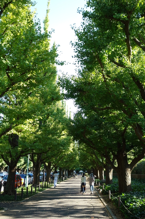 a0287336_17554411.jpg