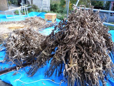 未来に残したい「音の世界遺産」_b0206037_1737172.jpg