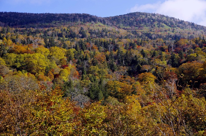 d0237340_21242613.jpg