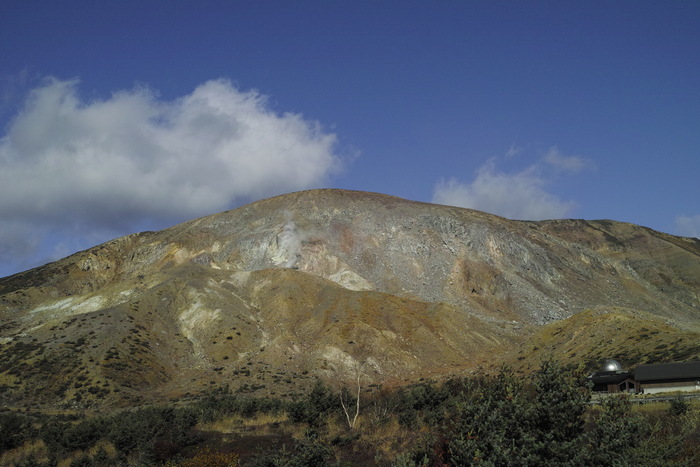 d0237340_21333690.jpg
