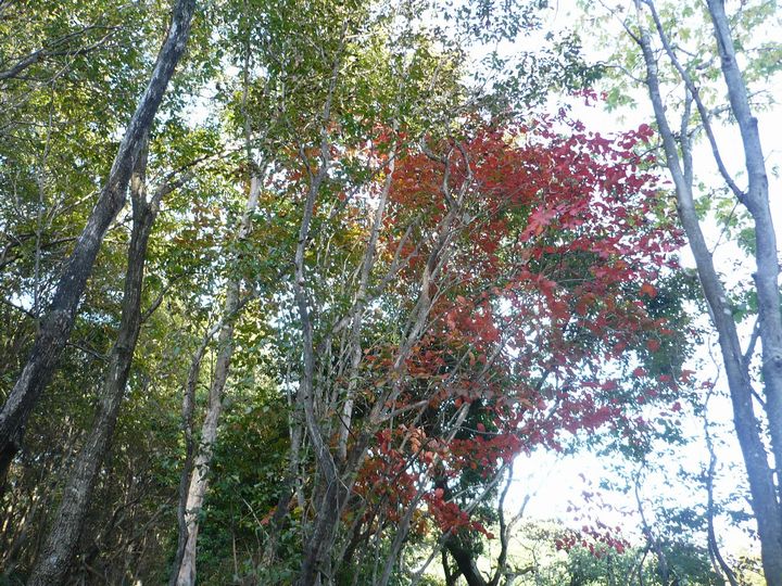 f0090444_21304973.jpg