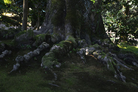 c0093046_1726226.jpg