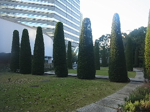 d0063149_2257428.jpg