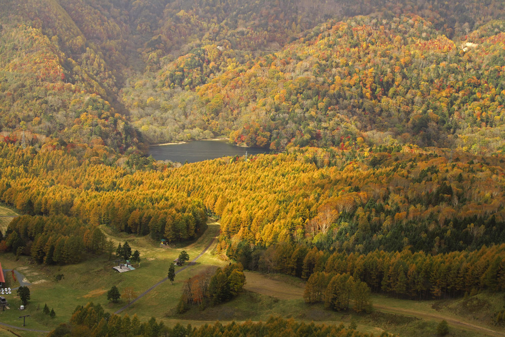 日光白根山ロープウェーからの紅葉_e0140650_14572930.jpg