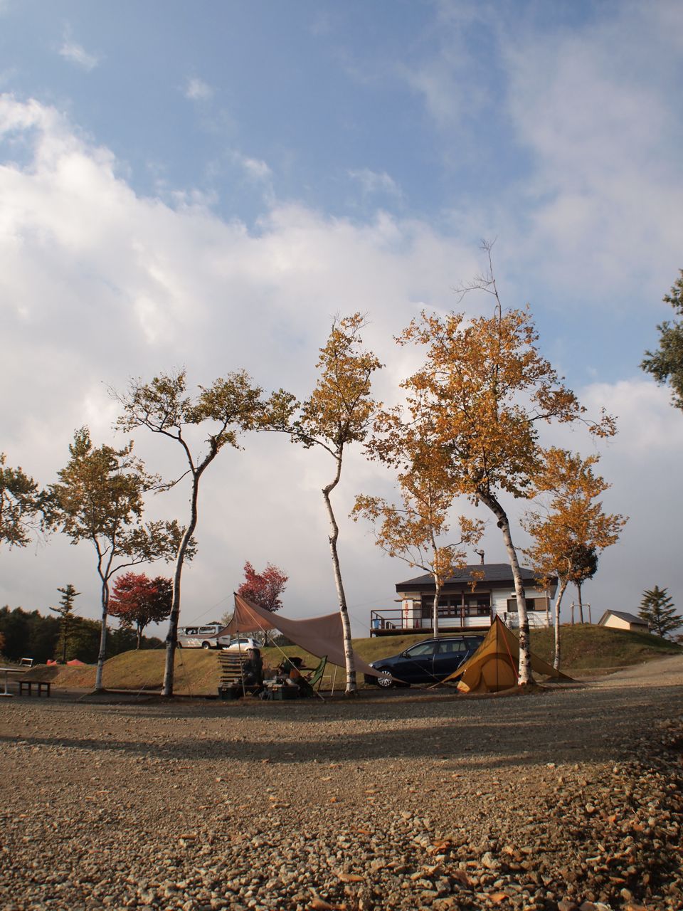 f0160063_7383371.jpg