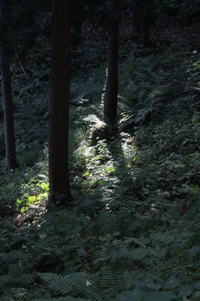 f0160063_7383895.jpg