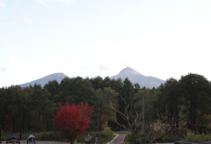 f0160063_7384175.jpg