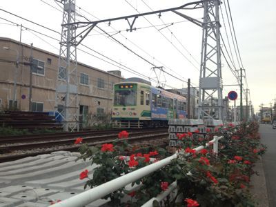 f0230467_0313619.jpg