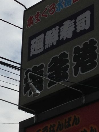 c0161474_8421969.jpg
