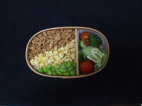 鶏そぼろ三食弁当_d0171374_9493450.jpg