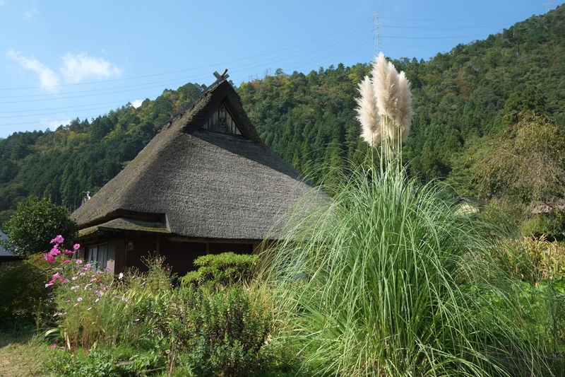 里山で秋を感じます♪～美山サイクリング（中編）～_c0177576_11434637.jpg