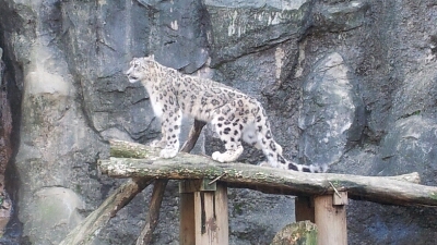 Photoしたその一瞬　「多摩動物公園」_f0004076_23372283.jpg