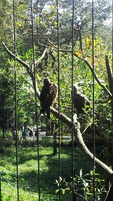 Photoしたその一瞬　「多摩動物公園」_f0004076_23384397.jpg