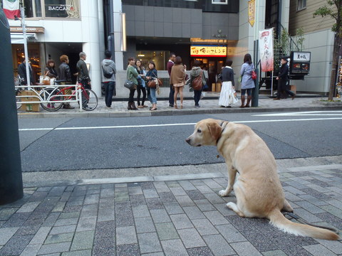 久しぶりに恵比寿神社_f0052277_1402528.jpg