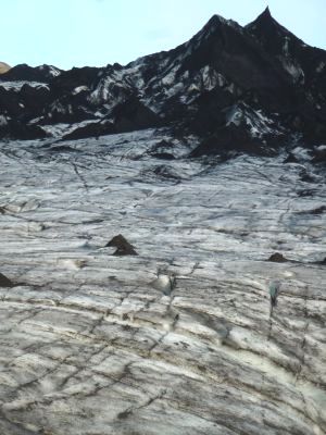 f0169885_446269.jpg