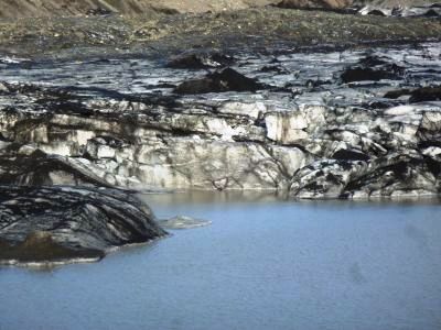 f0169885_452067.jpg