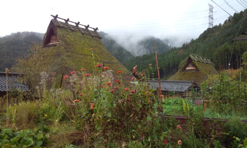b0157386_20164066.jpg