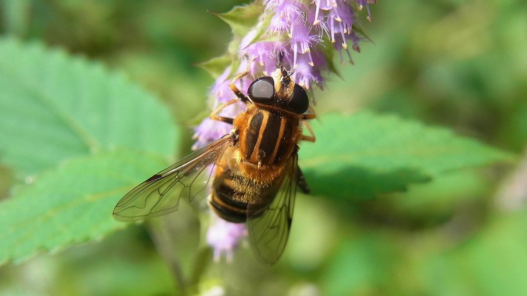 a0152692_18102298.jpg