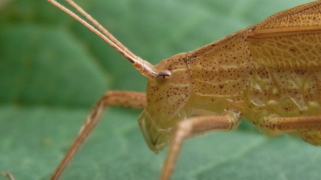 a0152692_18115395.jpg