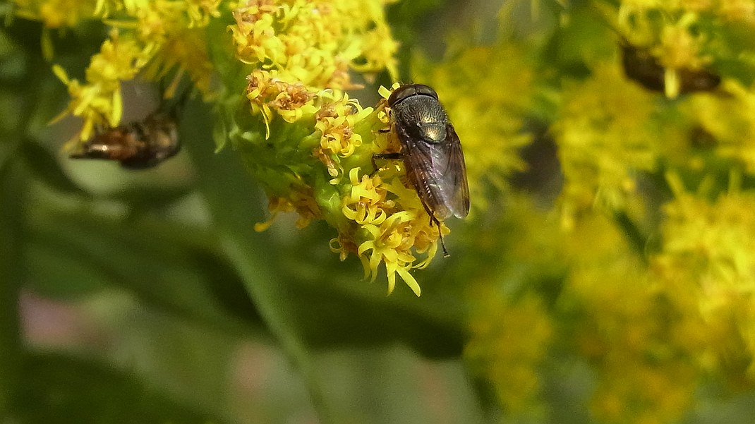 a0152692_1815017.jpg
