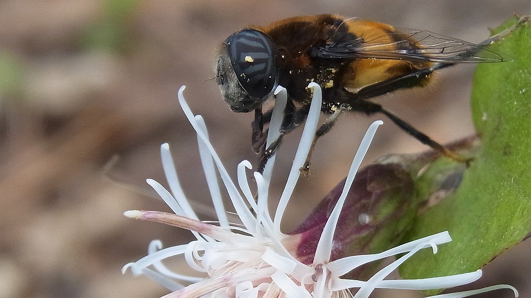 a0152692_18886.jpg