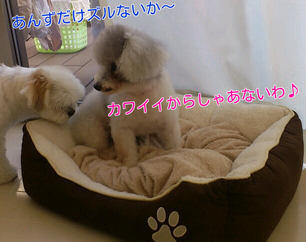 b0237894_18442183.png
