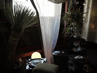 designer show houseへ_a0233896_13154660.jpg