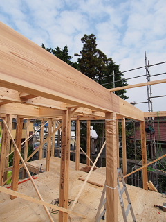 c0039501_207089.jpg
